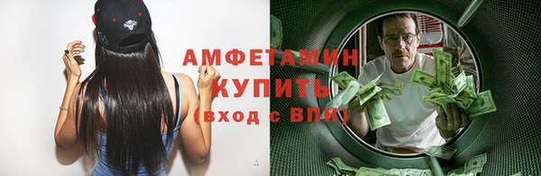 сатива Алзамай