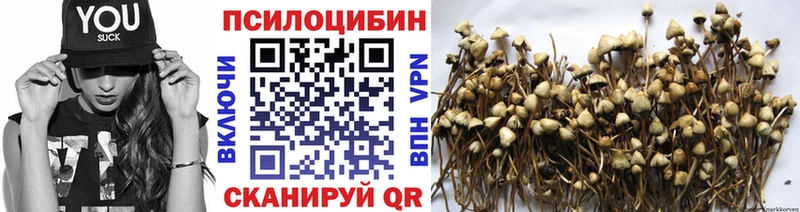Галлюциногенные грибы MAGIC MUSHROOMS  Нарьян-Мар 